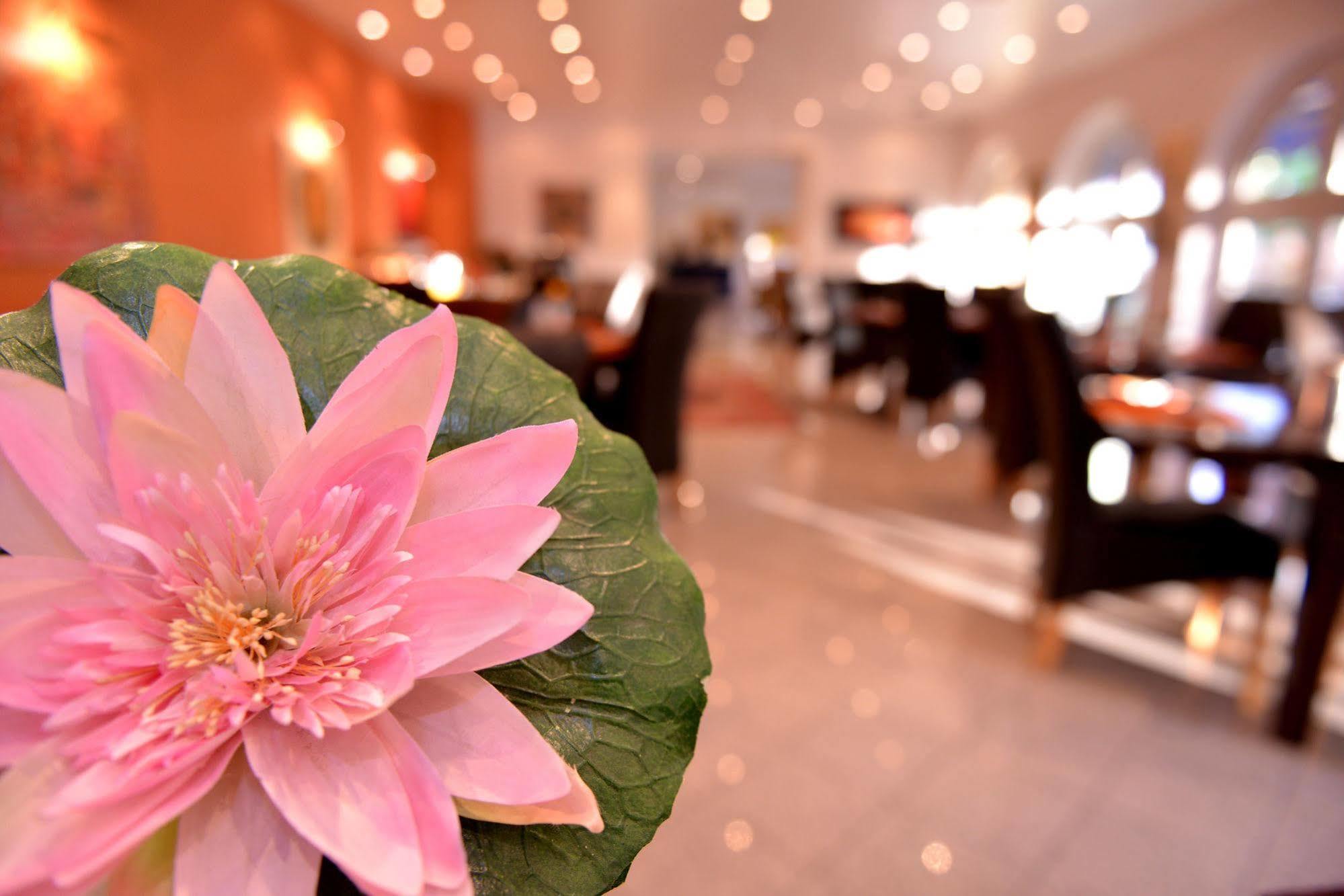 Alpha Hotel Garni 迪岑巴赫 外观 照片